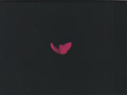 クロサギ 2022年版 DVD-BOX 6枚組